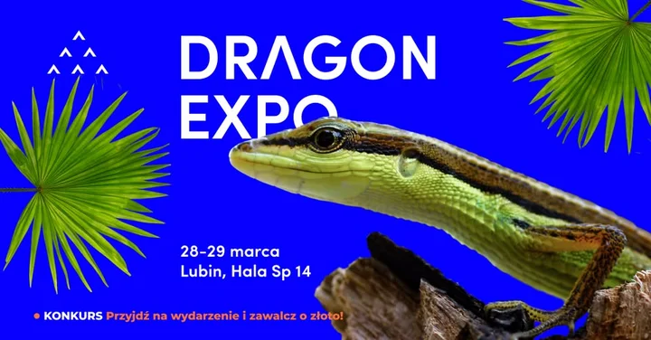 Grafika promocyjna wydarzenia Dragon Expo — event terrarystyczny i botaniczny w Lubinie