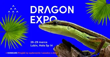 Grafika promocyjna wydarzenia Dragon Expo — event terrarystyczny i botaniczny w Lubinie