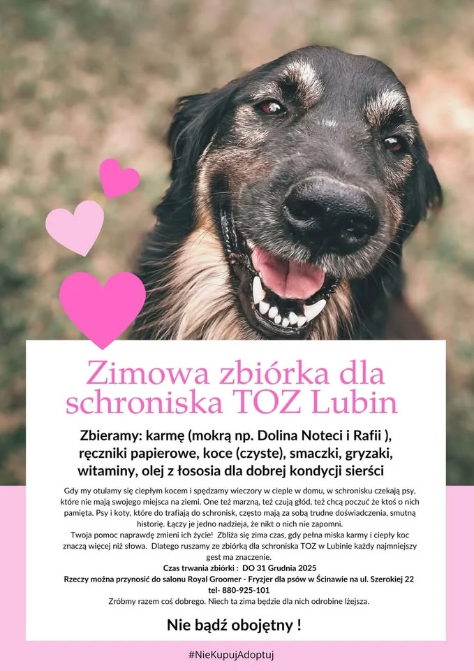 Grafika promocyjna wydarzenia Zimowa zbiórka dla schroniska TOZ Lubin