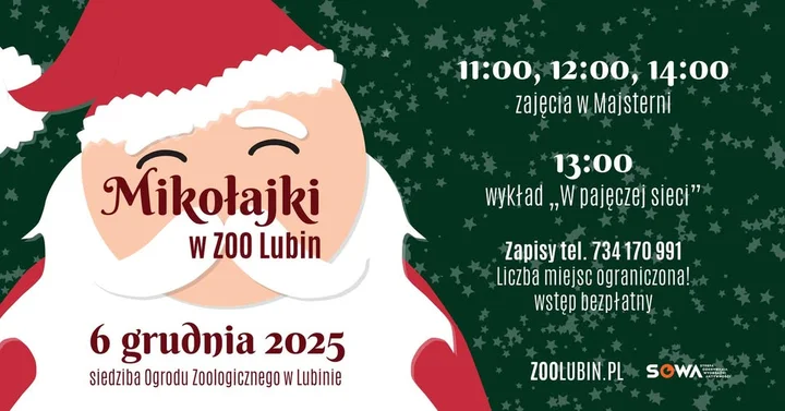 Grafika promocyjna wydarzenia Mikołajki w ZOO Lubin — warsztaty w Majsterni i wykład o pająkach