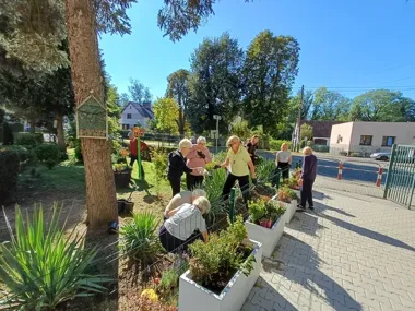 Wspólne sadzenie ziół łączy pokolenia. Kolejne spotkania w gminie Lubin