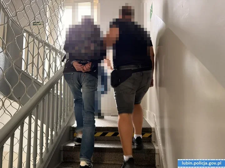 Za kanapą i w damskiej garderobie. Kryminalni zatrzymali poszukiwanych