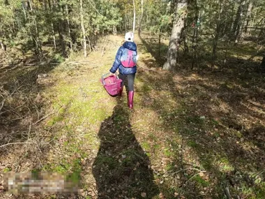 Grzybiarze gubią drogę w lesie. Policja z Lubina ostrzega