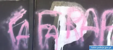 Kupiona w markecie farba zamieniła się w dowód - 56-latek zatrzymany