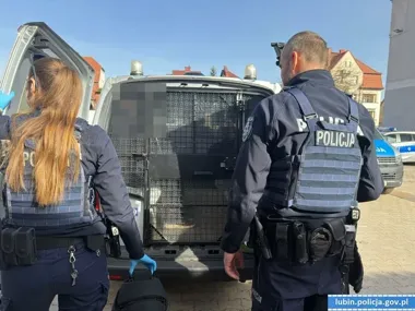 Recydywista zatrzymany po włamaniu do Citroena - 25-latek trafił do więzienia